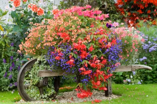 Sfaturi pentru intretinerea gradinii