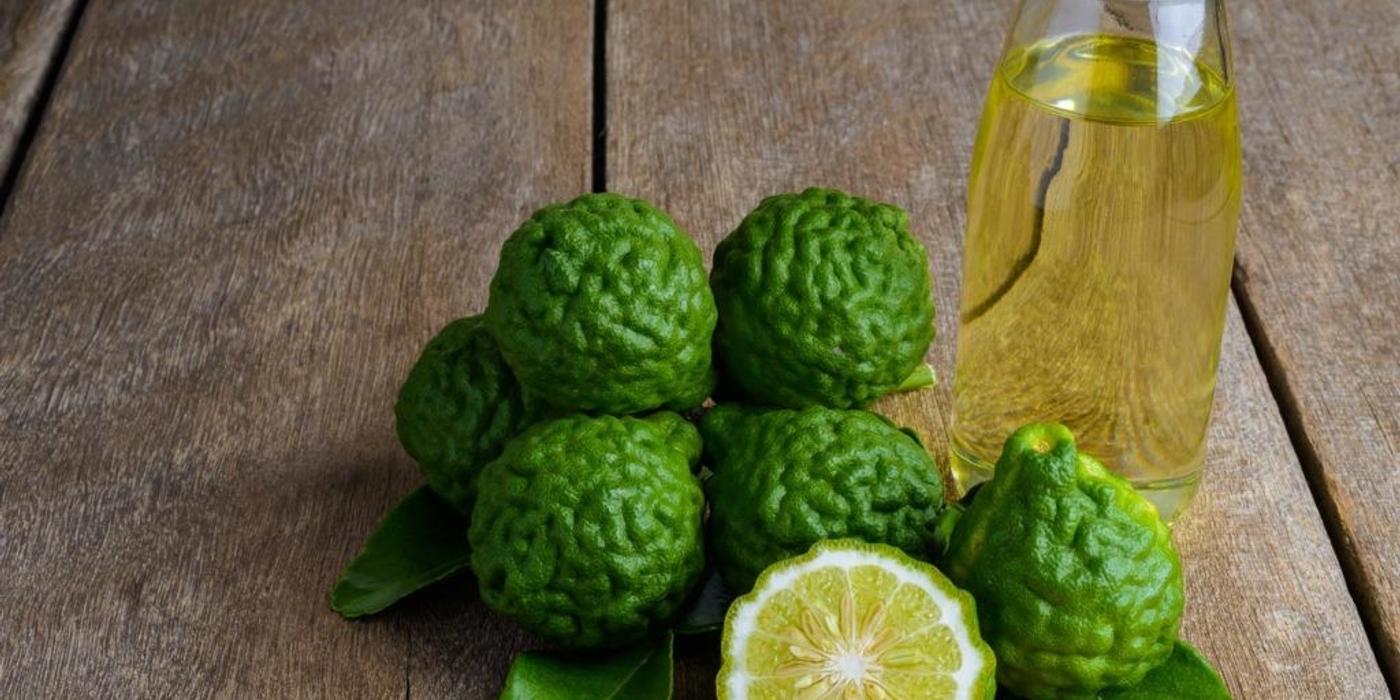 Bergamota, planta care se cultivă numai ȋn Italia