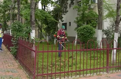 Locuitorii din Sectorul 3 pot solicita administrarea spațiilor verzi dintre blocuri