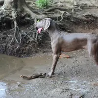 Idei – Design Interior: Transforma-ti pozele in ARTA de perete!