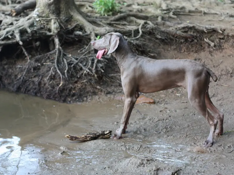 Idei – Design Interior: Transforma-ti pozele in ARTA de perete!