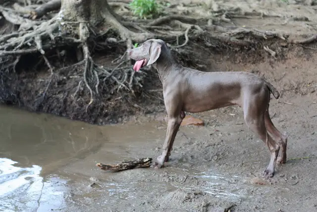 Idei – Design Interior: Transforma-ti pozele in ARTA de perete!