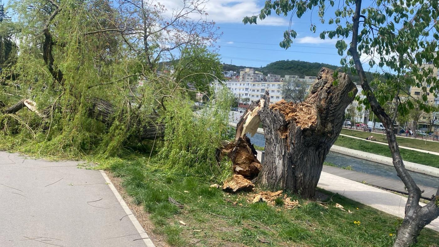 Vântul puternic a cauzat mai multe incidente duminică în Cluj-Napoca, punând în pericol siguranța pietonilor și a locuințelor
