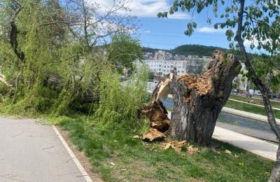 Vântul puternic a cauzat mai multe incidente duminică în Cluj-Napoca, punând în pericol siguranța pietonilor și a locuințelor