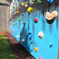 Idei pentru amenajarea unui perete de catarat pentru copii