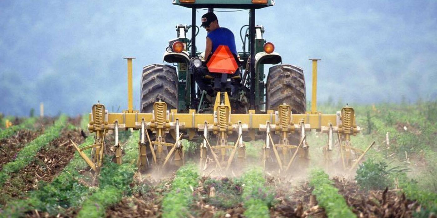 Ministrul Agriculturii anunţă că APIA a deblocat plăţile / S-a autorizat plata a 1,5 miliarde de lei