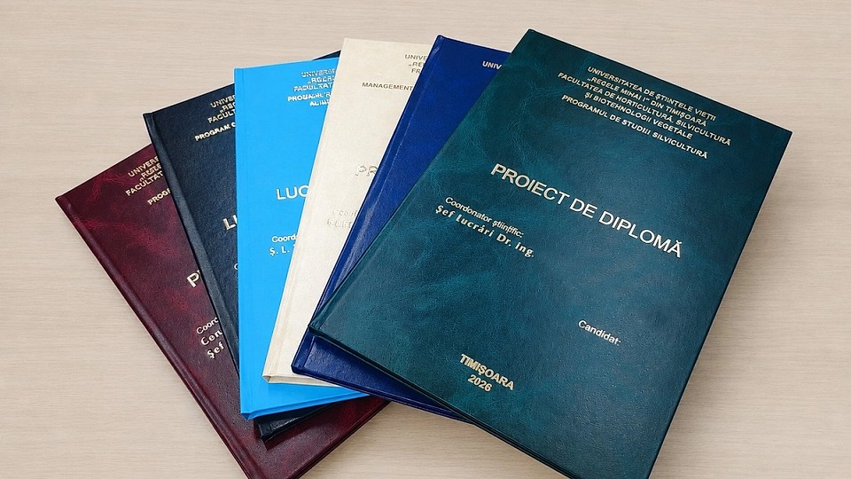 Copertare disertație în Timișoara: soluții profesionale pentru o lucrare bine prezentată