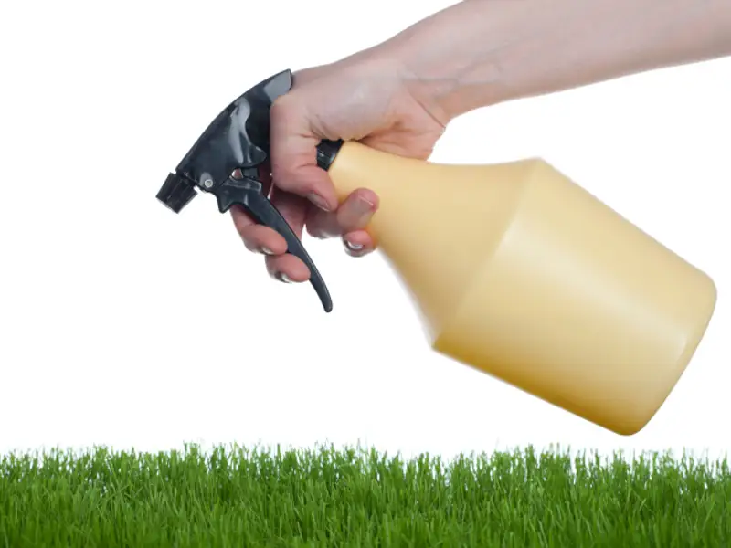 Cum sa tii departe daunatorii de casa ta