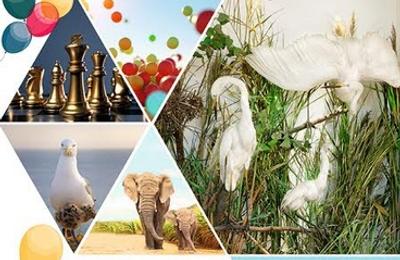 De Ziua Copilului, cei mici sunt aşteptaţi la Muzeul Antipa cu multe surprize