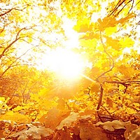 Prognoza meteo, 12 noiembrie. Vremea sfidează toamna. Temperaturi ridicate în toată țara