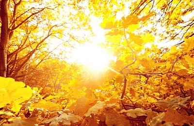 Prognoza meteo, 12 noiembrie. Vremea sfidează toamna. Temperaturi ridicate în toată țara