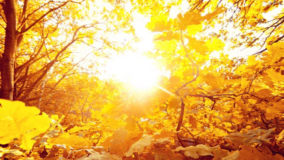 Prognoza meteo, 12 noiembrie. Vremea sfidează toamna. Temperaturi ridicate în toată țara