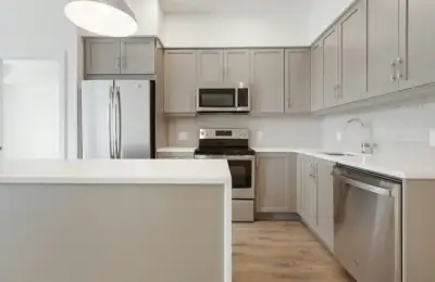 Built-in Appliances: A Modern and Practical Choice for Any Home