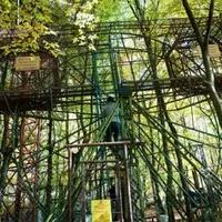 Ce a construit un barbat in padure timp de 40 de ani te va lasa masca! (VIDEO)