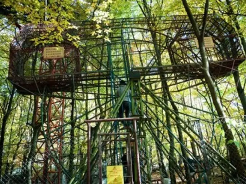 Ce a construit un barbat in padure timp de 40 de ani te va lasa masca! (VIDEO)