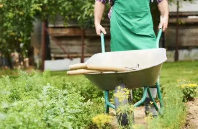 Cum să îți organizezi eficient lucrările de primăvară