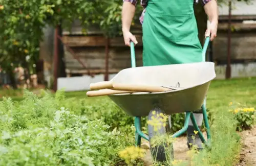 Cum să îți organizezi eficient lucrările de primăvară