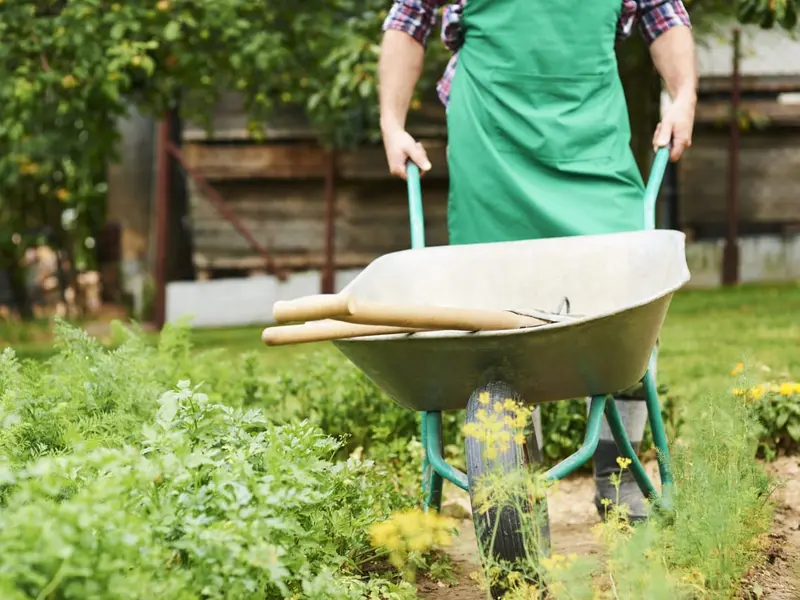 Cum să îți organizezi eficient lucrările de primăvară