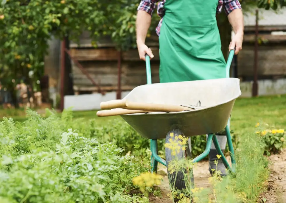 How to Efficiently Organize Your Spring Work