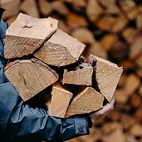 Care sunt cele mai bune esențe de lemn pentru foc