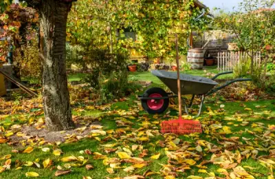 Creating a Modern and Elegant Garden This Fall