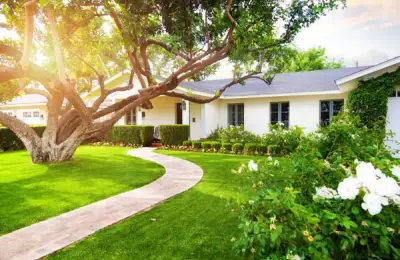 Useful Solutions for Effortless Yard Maintenance