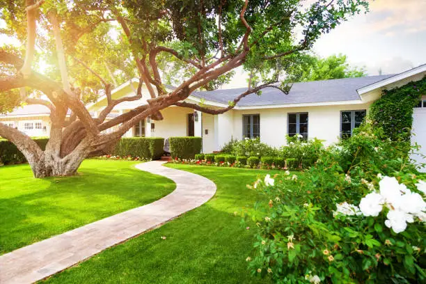 Useful Solutions for Effortless Yard Maintenance