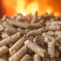 Peleți sau brichete? Cum alegi corect pentru sobă sau centrală