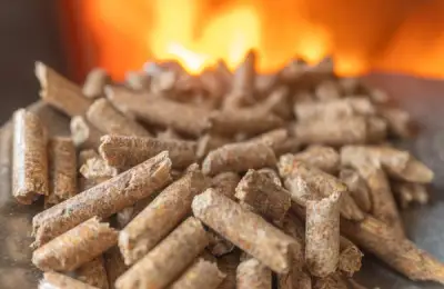 Peleți sau brichete? Cum alegi corect pentru sobă sau centrală