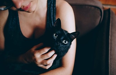 Ziua pisicilor Negre la Muzeul Antipa: O sărbătoare a eleganței felinelor și un apel la adopție