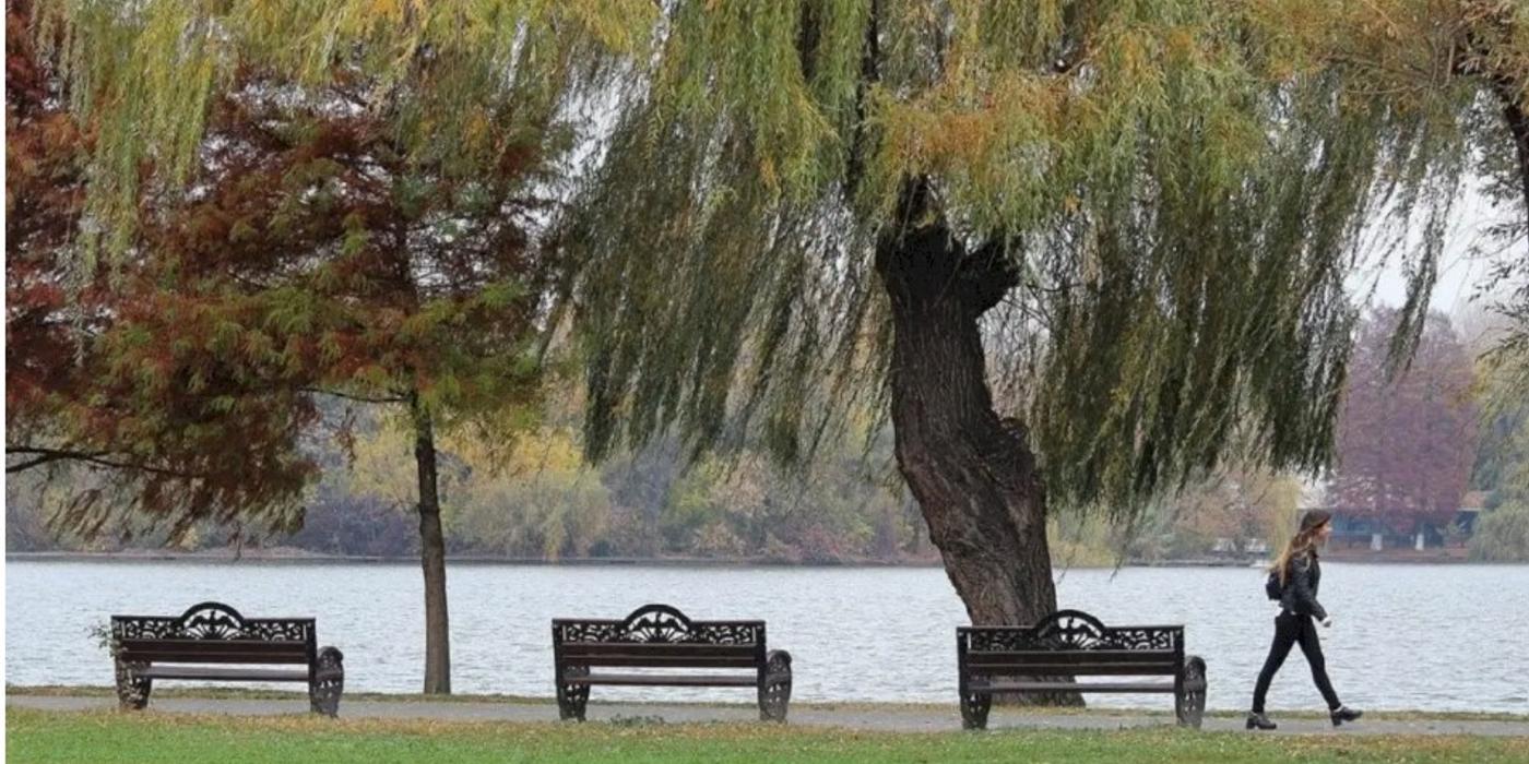 Administrația Lacuri, Parcuri și Agrement București a achiziționat sute de bănci și coșuri de gunoi pentru parcurile din București