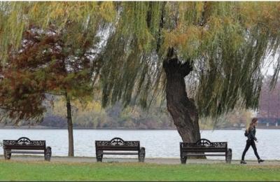 Administrația Lacuri, Parcuri și Agrement București a achiziționat sute de bănci și coșuri de gunoi pentru parcurile din București