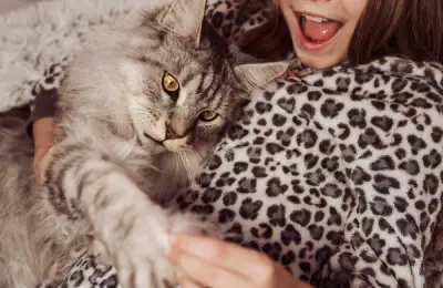 The Benefits of Having a Cat in an Apartment