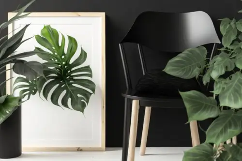 Plante care atrag banii în casa ta. Ce plante aduc abundență și noroc dacă le ai