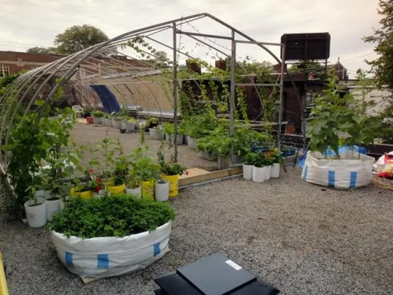 O gradina complexa pe acoperisul unui restaurant din Canada