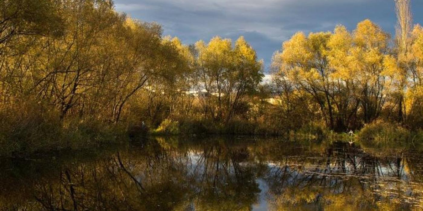 Primăria trebuie să înceapă exproprierile pentru Parcul Est. Acestea vor costa în jur de 60 de milioane de euro