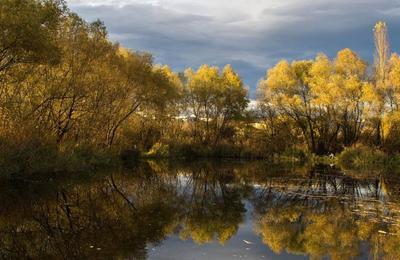 Primăria trebuie să înceapă exproprierile pentru Parcul Est. Acestea vor costa în jur de 60 de milioane de euro