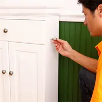 Pat Murphy pentru cainele sau pisica ta