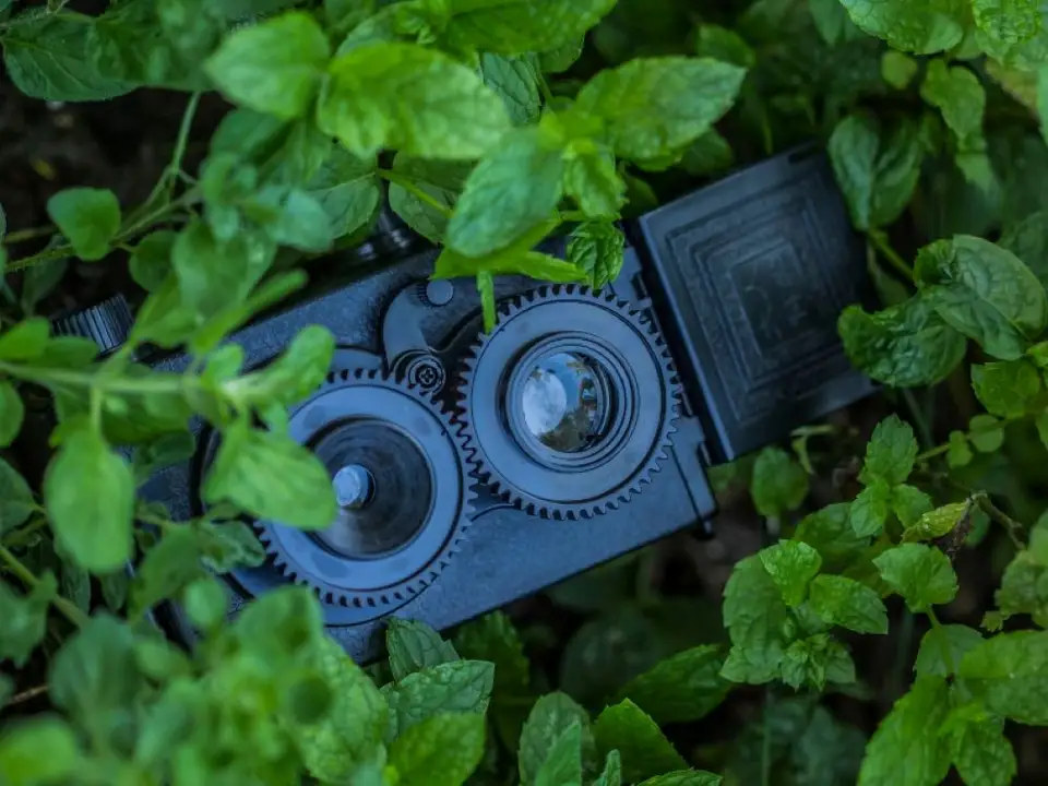 Top 7 Unexpected Places with Hidden Cameras