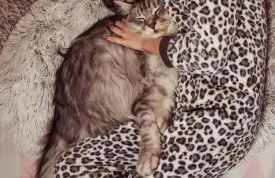 Ghid pentru un somn odihnitor: perspective și recomandări