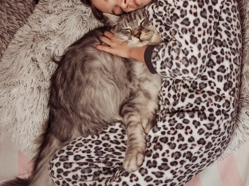 Ghid pentru un somn odihnitor: perspective și recomandări