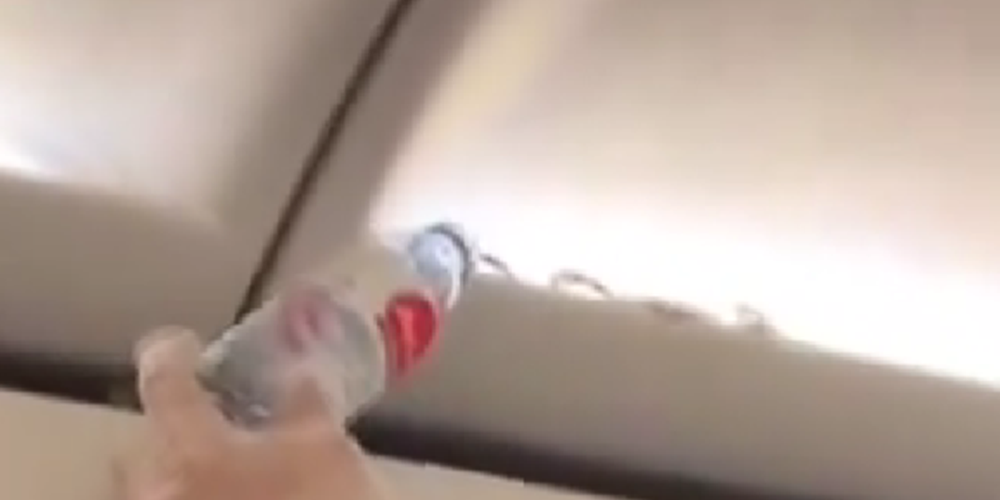 Un şarpe descoperit în zbor într-un avion aparţinând companiei malaysiene Air Asia, înainte de aterizare la Phuket, în Thailanda