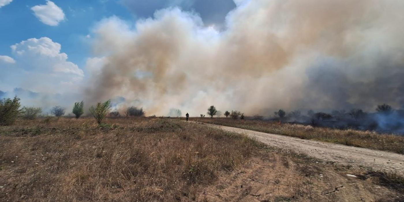 Incendiu masiv lângă Pădurea Băneasa. Sunt afectate 30 de hectare
