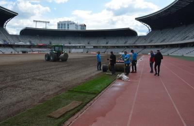 Gazonul de pe Cluj Arena a fost înlocuit