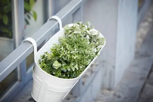 Cele mai potrivite jardiniere pentru balconul apartamentului