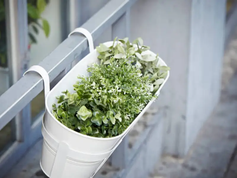 Cele mai potrivite jardiniere pentru balconul apartamentului