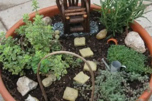 Amenajeaza o mini gradina cu plante aromatice in ghivece