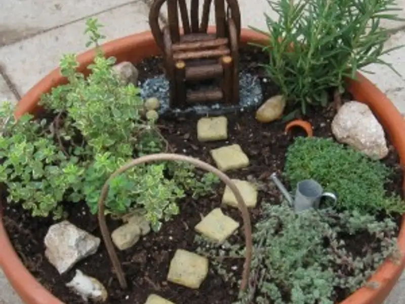 Amenajeaza o mini gradina cu plante aromatice in ghivece