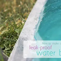 DIY: Cum sa faci un pat de apa pentru gradina ta? (TUTORIAL)