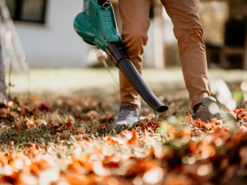Alegerea suflantei potrivite pentru grădină